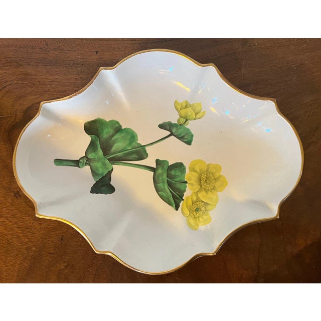 Early 19th Century Antique Early 19th Century English Creamware Botanical Dessert Dish Decorated With Meadowboult Specimen Th & C. For Sale - Image 5 of 12
