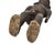 Wood Early 20th Century Toma Wood Figure Guinea For Sale - Image 7 of 7