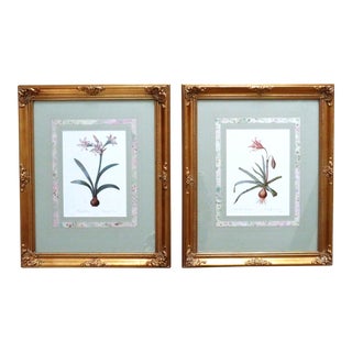 Pair of Floral Flowers Botanical Framed Prints Still Life For Sale