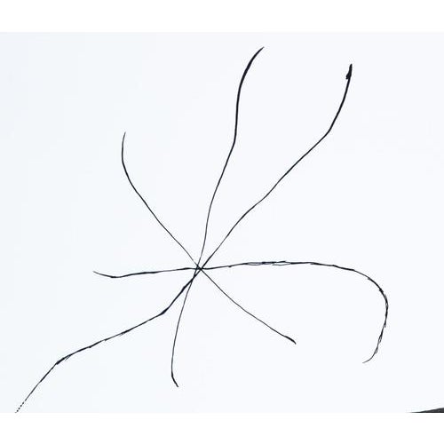 Joan Miro, Spanish Garden with a Star, Signed Silkscreen Print For Sale - Image 6 of 7