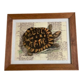 Vintage Tortoise & Manuscript Botanical-Style Art Print in Reeded Wood Frame For Sale