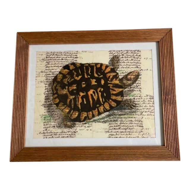 Vintage Tortoise & Manuscript Botanical-Style Art Print in Reeded Wood Frame For Sale