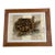 Vintage Tortoise & Manuscript Botanical-Style Art Print in Reeded Wood Frame For Sale