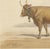 19th Century Charles Olivier de Penne, Béarnaise Cow with Bell Collar, French Cattle, 1863, Chromolithograph For Sale - Image 5 of 9