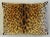 English Scalamandre Silk Leopardo Leopard Velvet Feather/Down Pillows 24" X 18" - Pair For Sale - Image 3 of 6