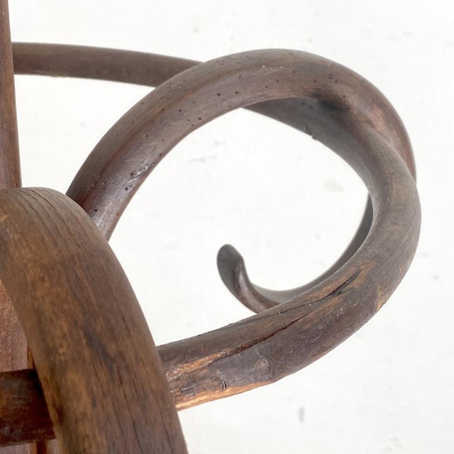 Brown Bentwood Parrot Coat Rack, 1890s For Sale - Image 8 of 11