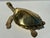 1970s Large Brass Turtle Hawksbill Sculpture Box For Sale - Image 11 of 12