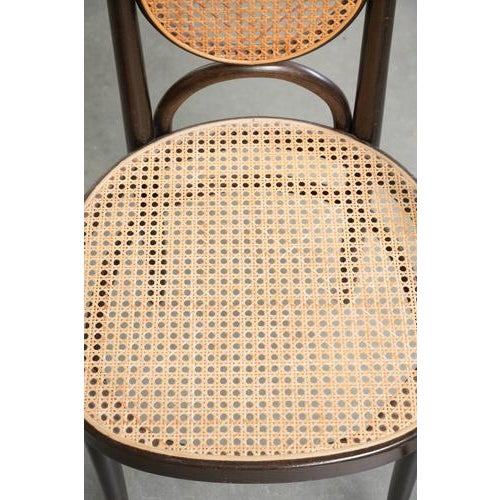 Vintage Long John High Back Bentwood Chairs with Webbing Seats from Thonet, Set of 6 For Sale - Image 6 of 17