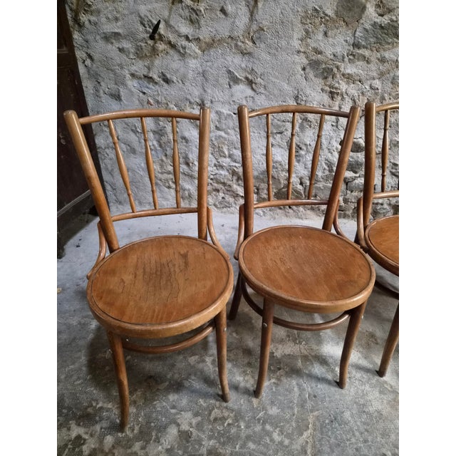 Bentwood Bistro Chairs from Fischel, Former Czechoslovakia, 1930s, Set of 6 For Sale - Image 9 of 18