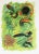 1970 Andre Masson Print Aurelia 7 For Sale