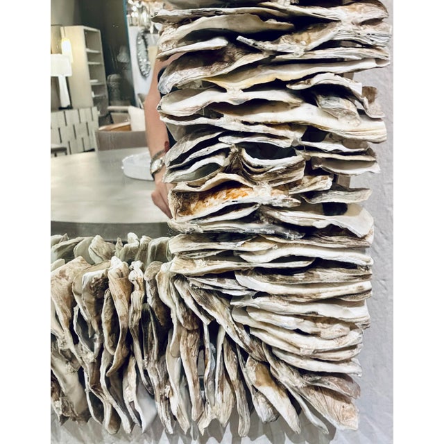 Made Goods Made Goods Organic Modern Oyster Shell Mina Wall Mirror For Sale - Image 4 of 5