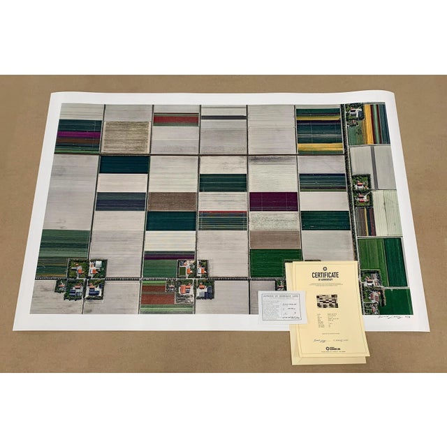 Bernhard Lang, av_tulip_fields_001, Limited Edition Fine Art Photograph Print For Sale - Image 12 of 14