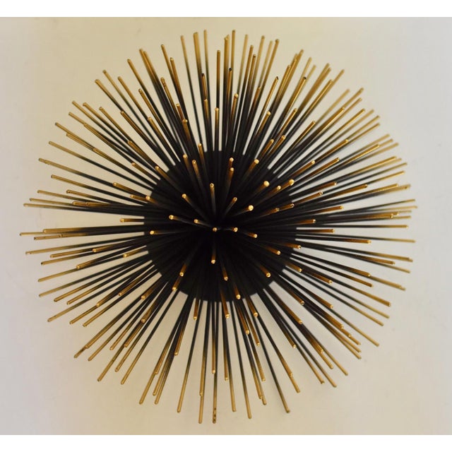Sea Urchin Wall Decor Chairish