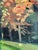 Oil Painting - Landscape With Trees For Sale - Image 11 of 13