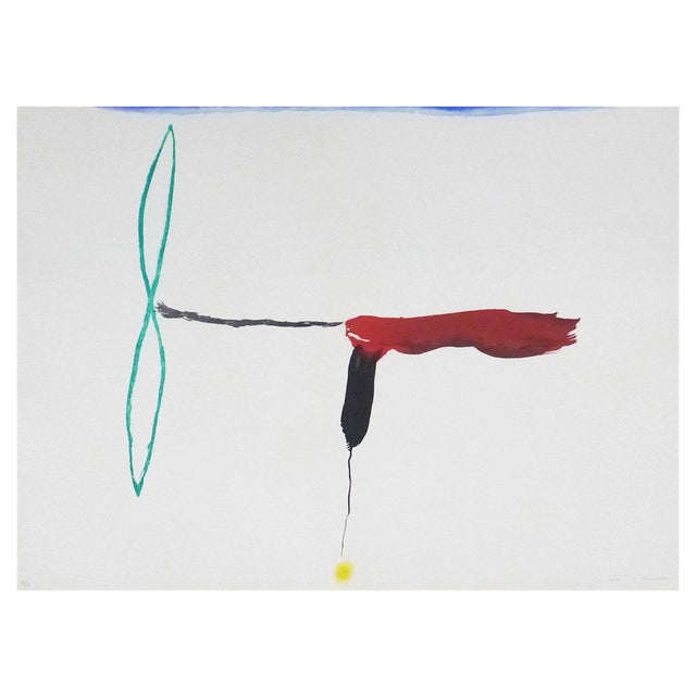 Josep Maria Riera I Arago, vion helice verde, 2010, Etching For Sale