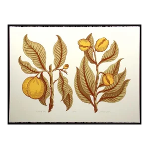 Jules Roch "Nutmeg Tree" Hand Signed Art Serigraph on Paper