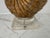 2000 - 2009 Gilt Seashell Form Table Lamp For Sale - Image 5 of 10