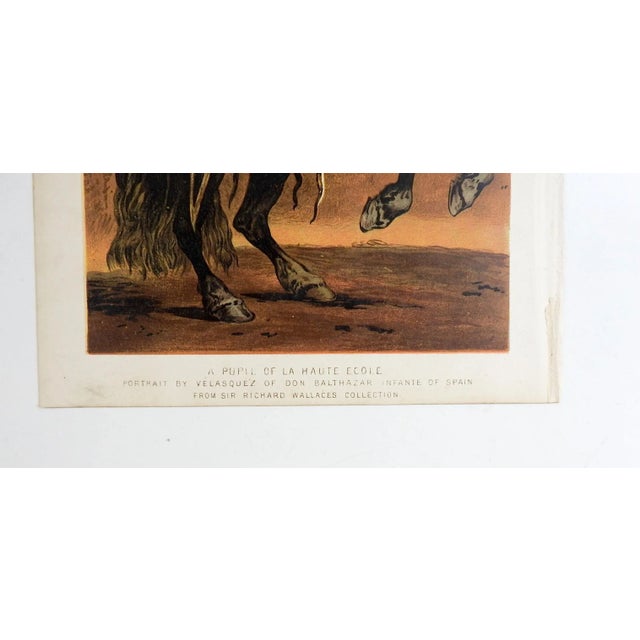 Antique chromolithgraph Pupil of the Haute Ecole after equestrian portrait of Spanish prince from The Book of the Horse by...