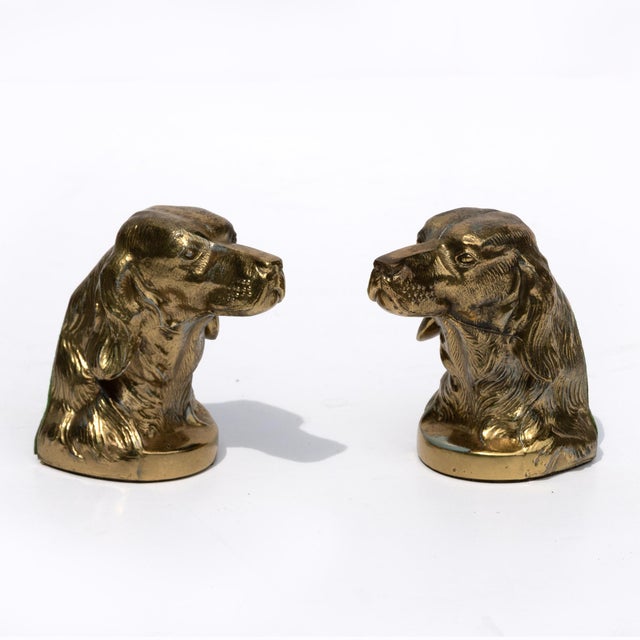 Pair of Brass Spaniel-Head Bookends Mid-20th Century For Sale - Image 4 of 8