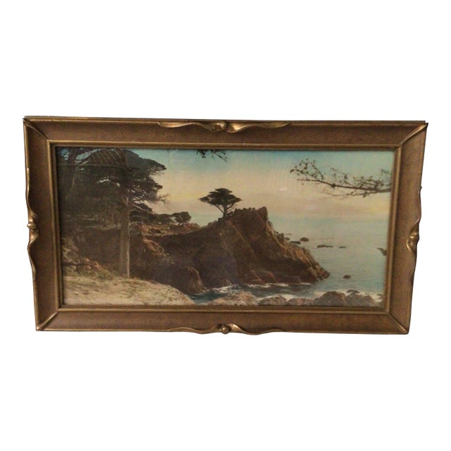 Vintage 1920s Hand Colored Photograph of the Lone Cypress in Monterey, California For Sale