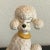Vintage Large Ceramic French Poodle With Collar Figurine Statue For Sale - Image 12 of 13