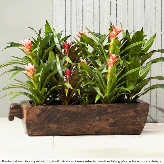 Invite the timeless spirit of the countryside into your home with our magnificent Vintage Solid Wood Rustic Farmhouse...