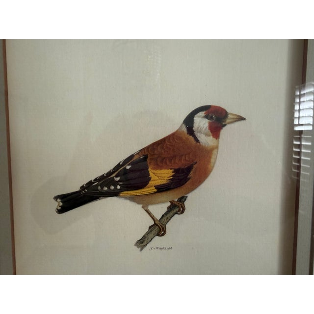 One of four matching antique bird prints double-matted and framed by Ethan Allen; burl wood frame.; Antique bird print of...