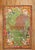 Early 20th Century Green Pictorial Deer Rug - 4'8" x 6'9" For Sale - Image 9 of 9