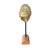 Mantelliceras Ammonite Fossil on Wooden Display Stand For Sale - Image 4 of 7