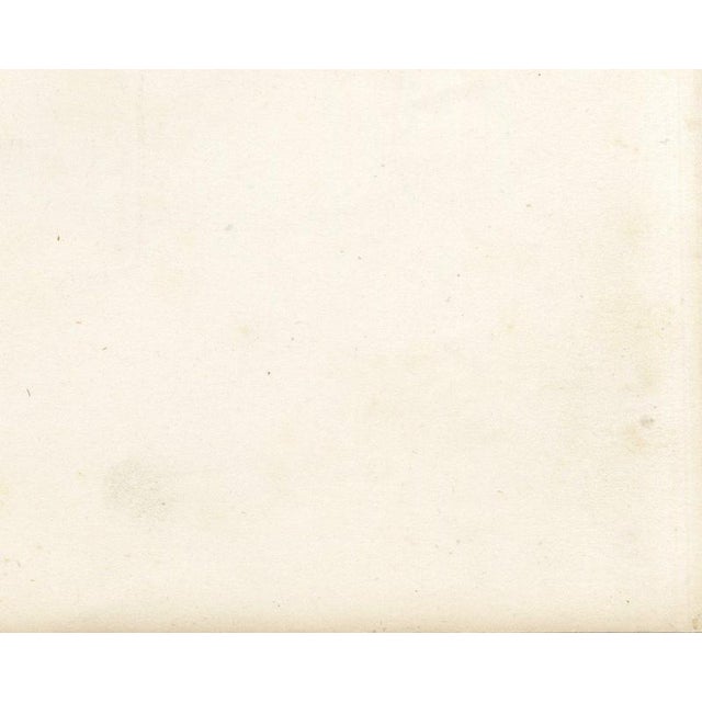 Unknown, Flemish Cow, 1873, Paper For Sale - Image 10 of 12