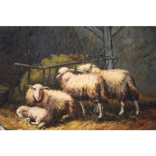 Sheep, 1920s, Oil on Board, Framed For Sale - Image 7 of 16