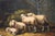 Sheep, 1920s, Oil on Board, Framed For Sale - Image 7 of 16