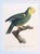 FREE SHIPPING ANYWHERE IN THE CONTINENTAL US! This is a set of vintage French lithographs featuring colorful parrots. Mid...