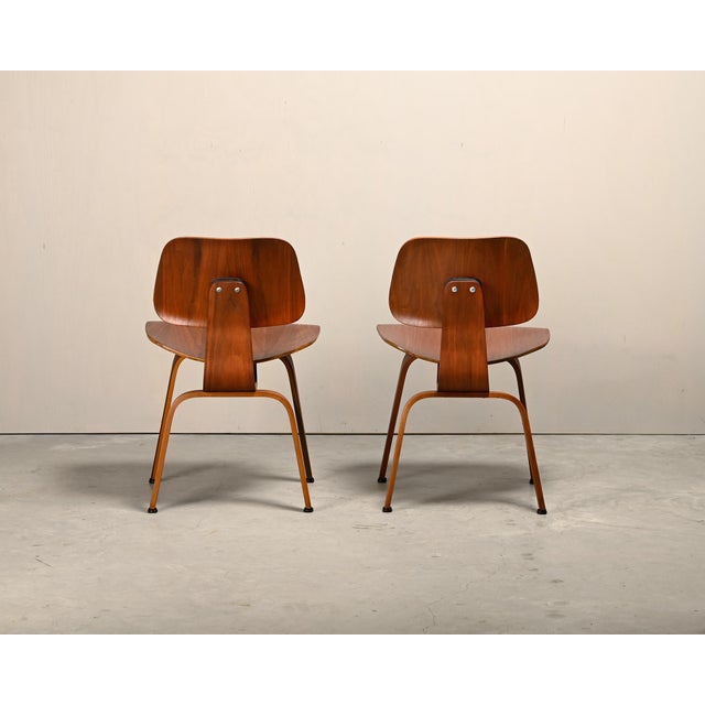 Early DCW Chair in Walnut Plywood by Charles and Ray Eames for Herman Miller, 1950s For Sale - Image 6 of 18