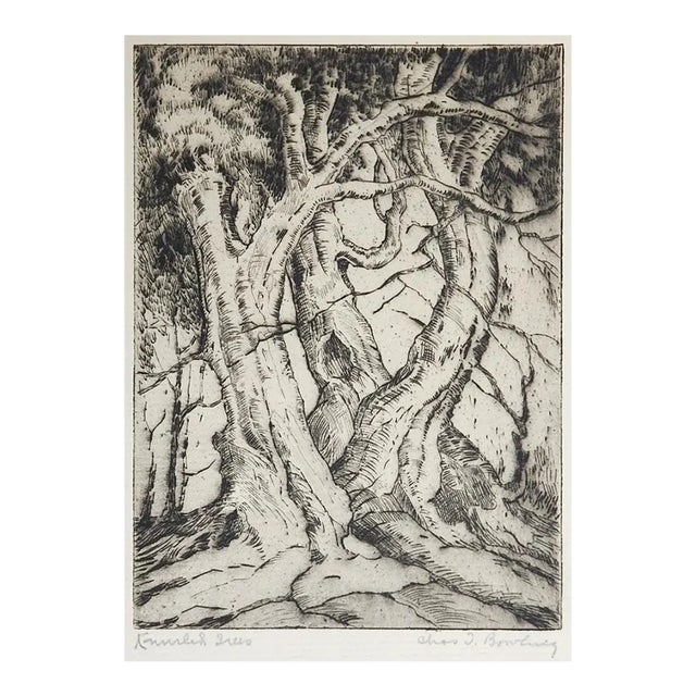 Vintage 1930s Charles Bowling Knurled Trees Dry Point Etching For Sale