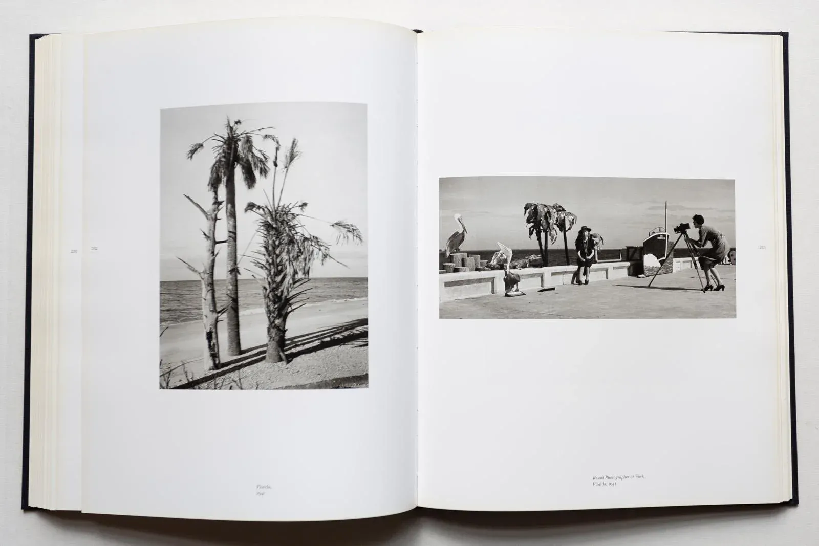 Walker Evans 