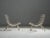 Set of White Rib Chairs in Metal and Brass, Brazil, 1950s For Sale - Image 3 of 9