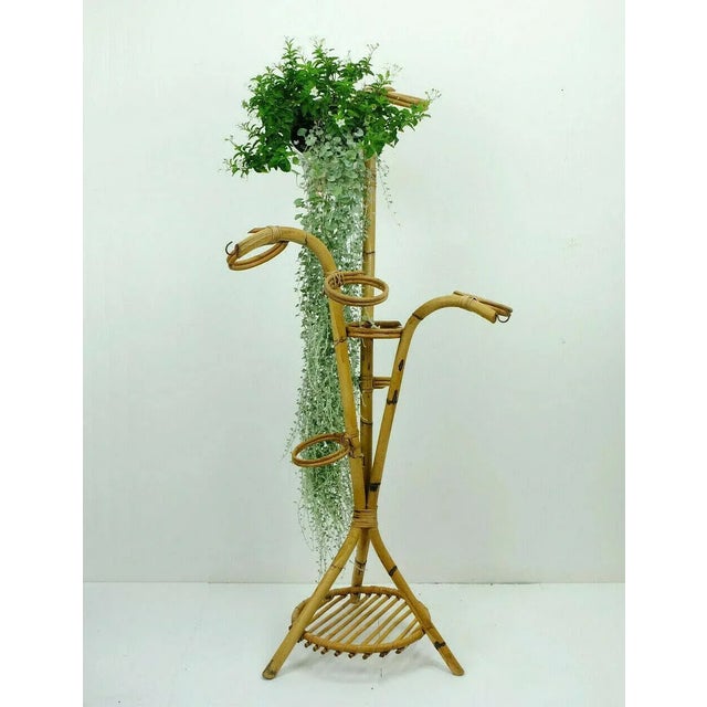 Khaki Bamboo and Ratten Flower Stand, 1950s For Sale - Image 8 of 9