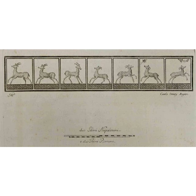 Ancient roman fresco from the series "antiquities of herculaneum", is an etching on paper realized by carlo oratij in the...