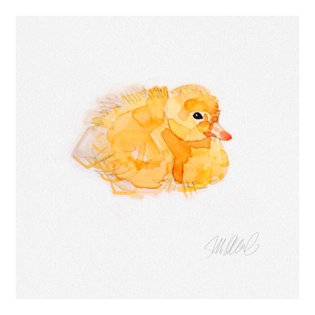 Resting duckling print  chairish