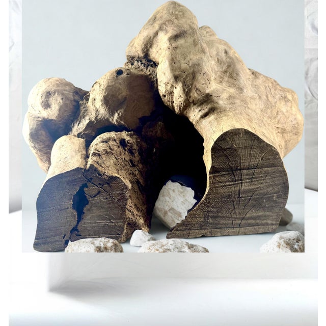 Large Burl Wood Sculpture- Natural Burl Art- Organic Modern Decor- One of a Kind For Sale - Image 4 of 5