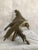 1950s Brass Eagle on Branch Sculpture For Sale - Image 4 of 10