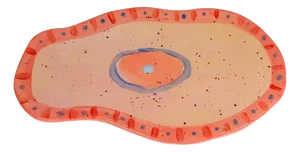 Abstract Platter #1 Curvy Eye by Alfonso Reyes