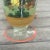 Early 20th Century Vintage Horse and Carriage Bullicante Cordial Glasses- Set of 4 For Sale - Image 5 of 10