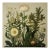 Dark Green Antique Botanical Garden Study No. 3 - Natural History Fine Art Print For Sale