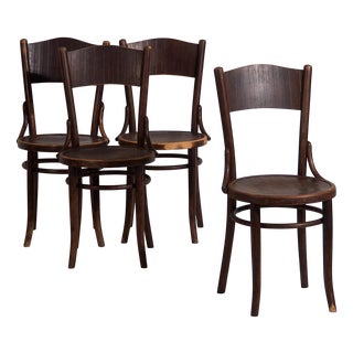 Vintage Bentwood Chairs, 1920, Set of 4 For Sale