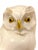 Early 20th Century Antique Hutschenreuther Porcelain Owl Figurine Art Deco Germany Fritz Klee C. 1930 Animal Decor For Sale - Image 5 of 11