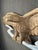 Mid 20th Century Hand Carved Wooden Eagle Sculpture For Sale - Image 4 of 12