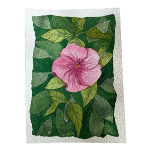 Original Watercolor Botanical Painting “Pink Hibiscus”
