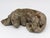 Reconstituted Stone Dog Spaniel Garden Ornament, England 20th Century For Sale - Image 9 of 9